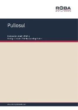 Rolf Hurdelhey Pullosul обложка книги