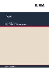 Dieter Janik - Pique