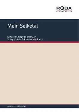 Siegfried Bethmann Mein Selketal обложка книги