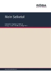 Siegfried Bethmann - Mein Selketal