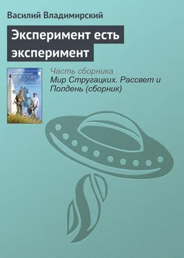 Василий Владимирский Эксперимент есть эксперимент обложка книги