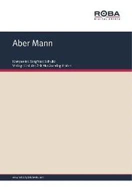 Siegfried Schulte Aber Mann обложка книги