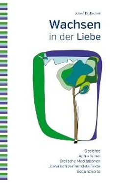 Josef Butscher Wachsen in der Liebe обложка книги