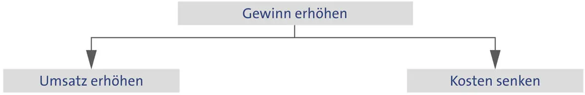 Empirie Auch empirische Erkenntnisse können die Zusammenhänge in Zielsystemen - фото 6