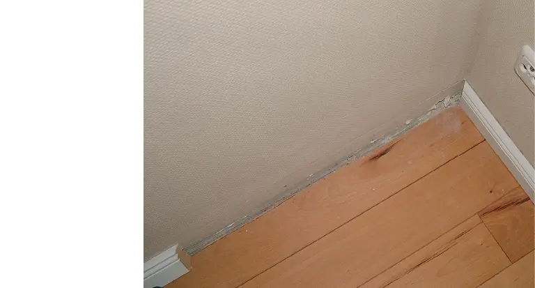 Die Buchendielen waren an die Wand angestoßen und bereits freigeschnitten - фото 6