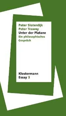 Peter Sloterdijk Unter der Platane обложка книги