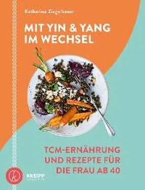 Katharina Ziegelbauer Mit Yin und Yang im Wechsel обложка книги