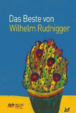 Wilhelm Rudnigger Das Beste von Wilhelm Rudnigger обложка книги