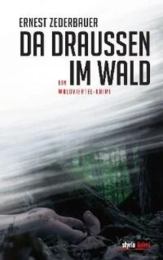 Ernest Zederbauer Da draußen im Wald обложка книги