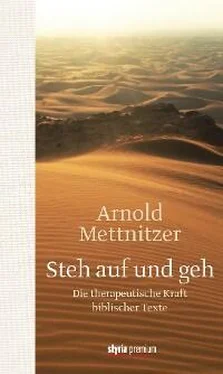 Arnold Mettnitzer Steh auf und geh обложка книги
