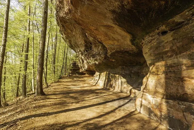 Buntsandsteinfelsen in ihrer ganzen Pracht Wasgau Südpfalz - фото 30