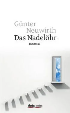 Günter Neuwirth Das Nadelöhr обложка книги