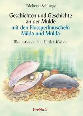 Edeltraut Schlange Geschichten und Geschichte an der Mulde mit den Flussperlmuscheln Milda und Mulda обложка книги
