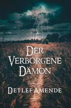 Detlef Amende Der verborgene Dämon обложка книги