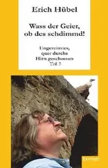 Erich Hübel - Wass der Geier, ob des schdimmd!