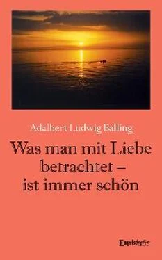 Adalbert Ludwig Balling Was man mit Liebe betrachtet - ist immer schön обложка книги