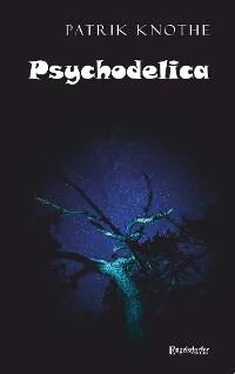 Patrik Knothe Psychodelica обложка книги