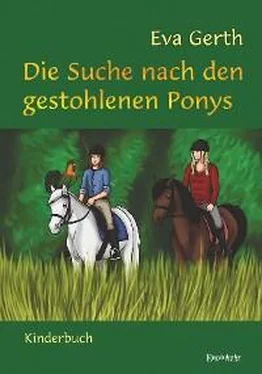 Eva Gerth Die Suche nach den gestohlenen Ponys обложка книги