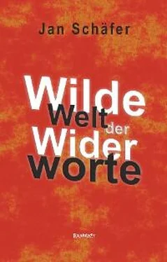 Jan Schäfer Wilde Welt der Widerworte обложка книги