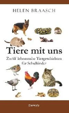 Helen Braasch Tiere mit uns обложка книги