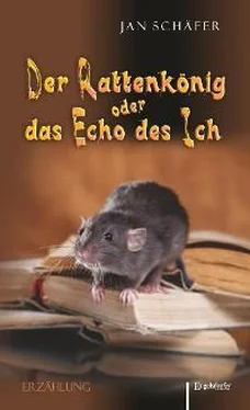Jan Schäfer Der Rattenkönig oder das Echo des Ich обложка книги