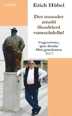 Erich Hübel Des mussder amohl illusdrierd vuurschdelln! обложка книги