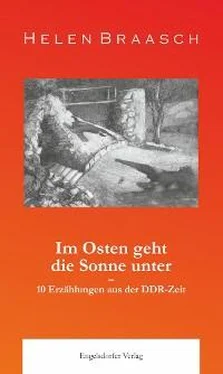 Helen Braasch Im Osten geht die Sonne unter: 10 Erzählungen aus der DDR-Zeit обложка книги