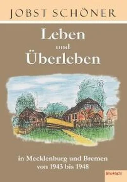 Jobst Schöner Leben und Überleben in Mecklenburg und Bremen 1943 bis 1948 обложка книги