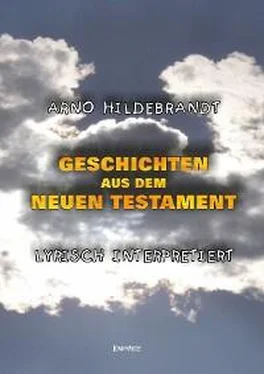 Arno Hildebrandt Geschichten aus dem Neuen Testament - Lyrisch interpretiert обложка книги