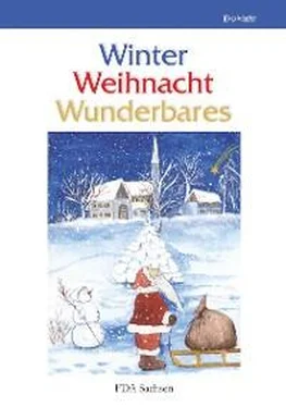 Неизвестный Автор Winter – Weihnacht – Wunderbares обложка книги