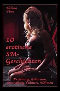 Helena Tress 10 erotische SM-Geschichten обложка книги