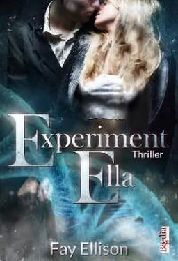 Fay Ellison Experiment Ella обложка книги