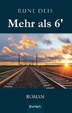Rune Deis Mehr als 6′ обложка книги