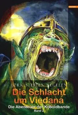 Jork Steffen Negelen Die Schlacht um Viedana: Die Abenteuer der Koboldbande (Band 2) обложка книги