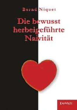 Bernd Niquet Die bewusst herbeigeführte Naivität обложка книги