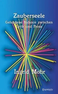 Ingrid Mohr Zauberseele обложка книги