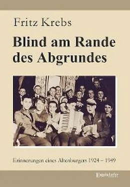 Fritz Krebs Blind am Rande des Abgrundes обложка книги