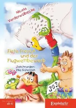 Nicola Vorderwülbecke Fiete Frosch und der Flugwettbewerb обложка книги