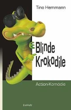 Tino Hemmann Blinde Krokodile обложка книги