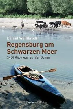 Daniel Weißbrodt Regensburg am Schwarzen Meer обложка книги