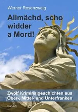 Werner Rosenzweig Allmächd, scho widder a Mord! обложка книги