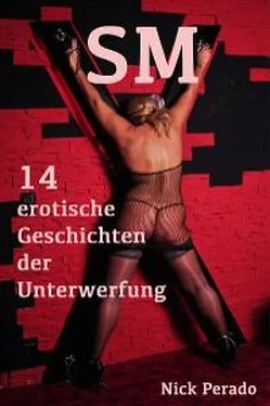 Nick Perado SM - 14 erotische Geschichten der Unterwerfung обложка книги