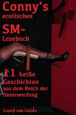 Conny van Lichte Conny's erotisches SM-Lesebuch обложка книги