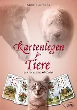 Karin Clemens Kartenlegen für Tiere обложка книги