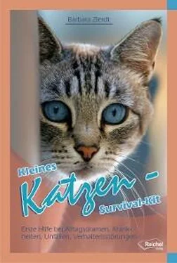 Barbara Zierdt Kleines Katzen-Survival-Kit обложка книги