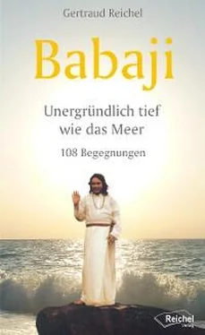 Gertraud Reichel Babaji - Unergründlich tief wie das Meer обложка книги