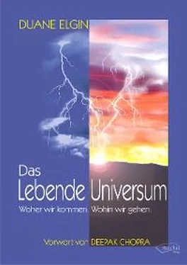 Duane Elgin Das Lebende Universum обложка книги