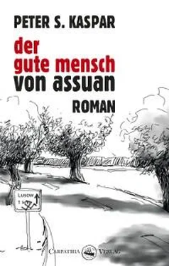 Peter S. Kaspar Der gute Mensch von Assuan обложка книги