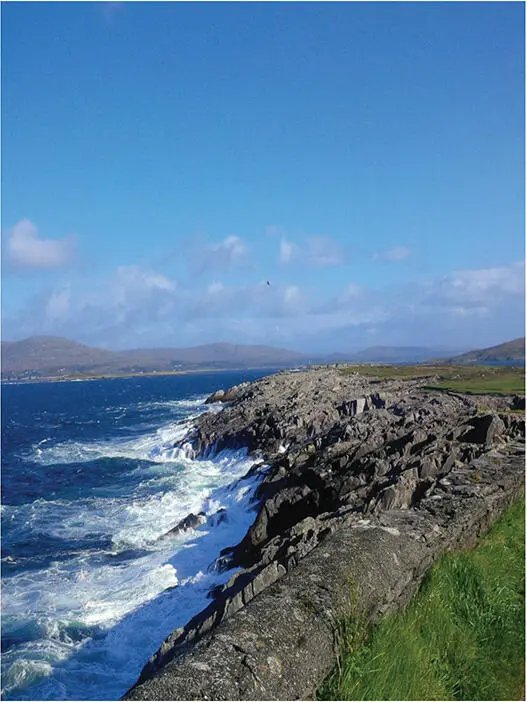 Glengarrif Bantrybay Coddle ist ein nordirisches Gericht eine Art Eintopf - фото 8