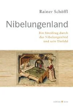 Rainer Schöffl Nibelungenland обложка книги